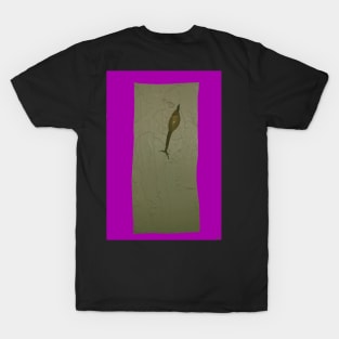 Snail on da house T-Shirt